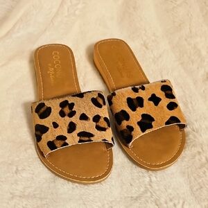 NWOT Coconuts by Matisse Leopard Print Women's Sandals